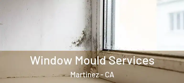  Window Mould Services Martinez - CA